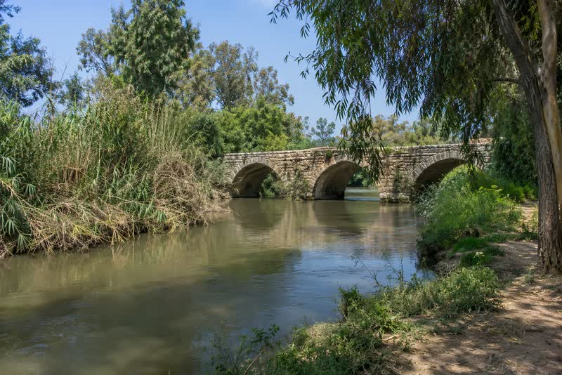 תמונת המחשה למסלול נחל אלכסנדר וגשר הצבים: נחל וצבים.